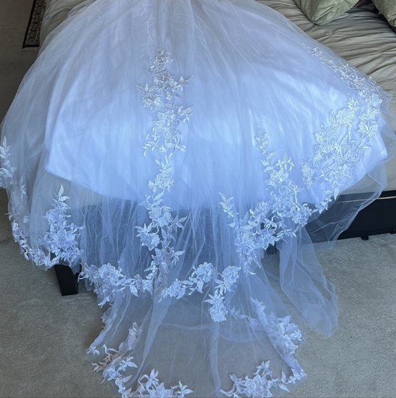 Lace Embellished White Wedding Gown - Picture 8 of 13